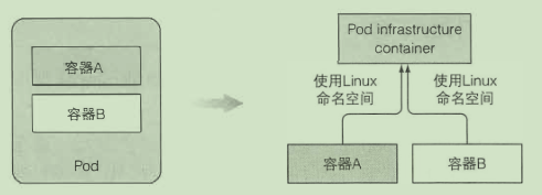 pod 到底是什么